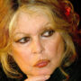 Copertina di “Vivo in un ripostiglio, mi hanno trattato peggio di un criminale”: lo sfogo del marito di Brigitte Bardot sull’eredità