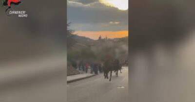 Copertina di Nuoro, corsa di cavalli a folle velocità per le strade: denunciati otto giovani – Video