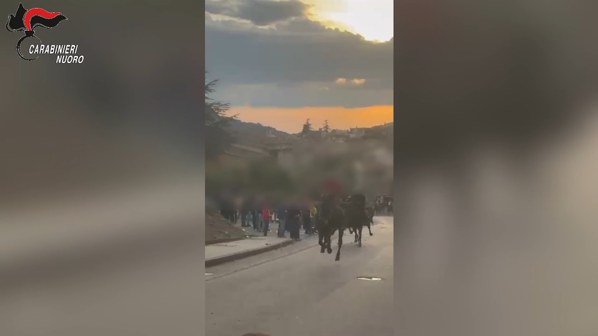 nuoro corsa di cavalli a folle velocit224 per le strade denunciati otto giovani 8211 video