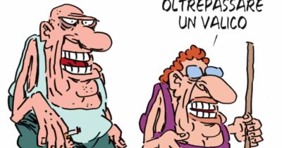 Copertina di La vignetta di Franzaroli