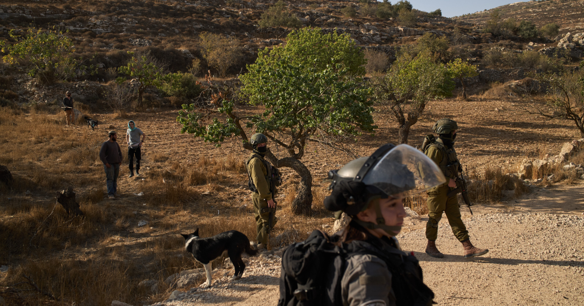 cisgiordania media coloni bruciano auto e aggrediscono agricoltori palestinesi israele hamas potrebbe restituire i corpi di altri 8 ostaggi