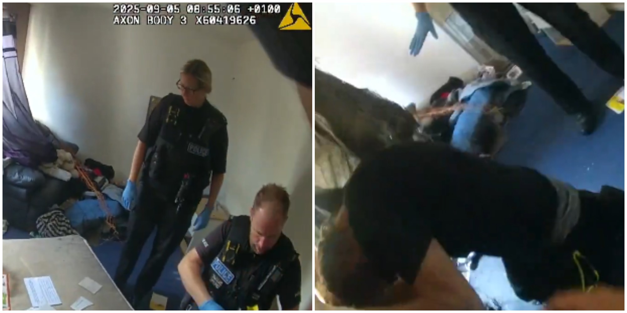 “C’è qualcuno nascosto dentro a un letto”: poliziotti entrano in un supermercato e avvistano una figura nascosta, è un ladro seriale. Il momento dell’arresto – VIDEO “C’è qualcuno nascosto dentro a un letto”: poliziotti entrano in un supermercato e avvistano una figura nascosta, è un ladro seriale. Il momento dell’arresto – VIDEO