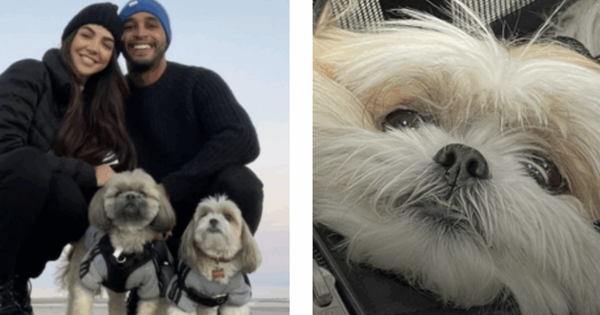 “Il nostro cane è morto ed è stato cremato senza il nostro consenso. Era con la dog sitter che ci ha inventato una storia falsa, ora sappiamo la verità: lo sfogo di Eilyn e Ray Jimenez