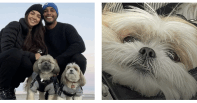 Copertina di “Il nostro cane è morto ed è stato cremato senza il nostro consenso. Era con la dog sitter che ci ha inventato una storia falsa, ora sappiamo la verità: lo sfogo di Eilyn e Ray Jimenez