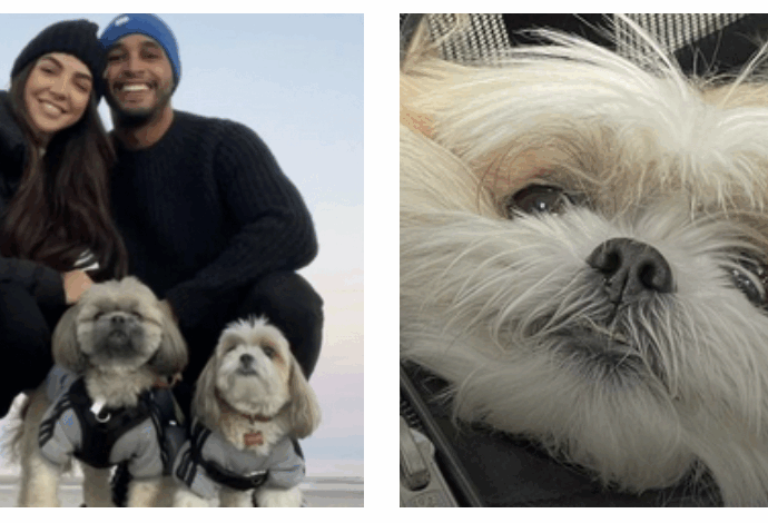 “Il nostro cane è morto ed è stato cremato senza il nostro consenso. Era con la dog sitter che ci ha inventato una storia falsa, ora sappiamo la verità: lo sfogo di Eilyn e Ray Jimenez