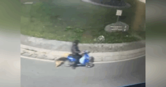 Copertina di Trascina il cane con una catena a strozzo per sei chilometri sull’e-bike: denunciato dog sitter nel Napoletano