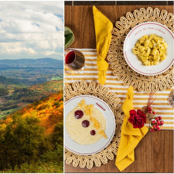 Degustazioni, villaggi di zucche, trekking nel foliage e treni panoramici: ecco 15 attività da fare in autunno in tutta Italia – LA GUIDA