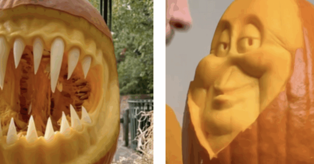 Come scegliere la zucca perfetta da decorare per Halloween? Lo spiega un intagliatore di zucche: “Ecco gli indicatori chiave”