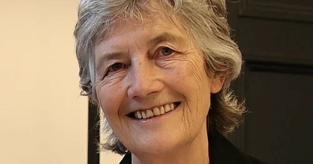 catherine connolly sar224 la nuova presidente dell8217irlanda chi 232 l8217ex psicologa pro pal e contro usa e nato da Ilfattoquotidiano.it catherine connolly sar224 la nuova presidente dell8217irlanda chi 232 l8217ex psicologa pro pal e contro usa e nato