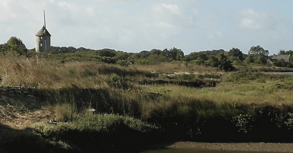 La coinquilina la rinchiude in garage per 5 anni: “Era costretta a defecare nella pentola e a mangiare porridge mischiato a detersivo per piatti”