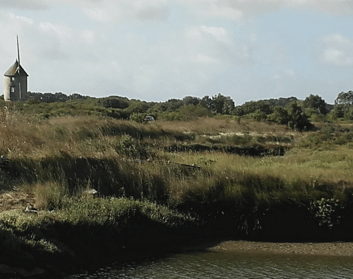 La coinquilina la rinchiude in garage per 5 anni: “Era costretta a defecare nella pentola e a mangiare porridge mischiato a detersivo per piatti”