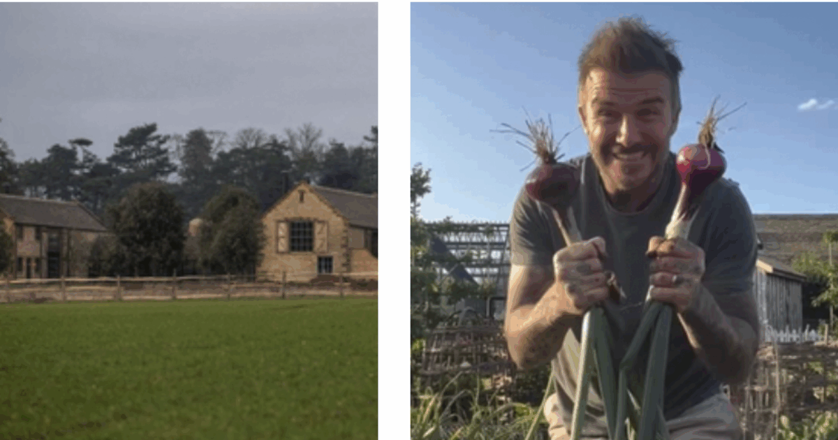 “Vogliono asfaltare un tratto di bosco per fare una strada che porti alla loro villa milionaria, non ha senso”: David e Victoria Beckham fanno infuriare i vicini