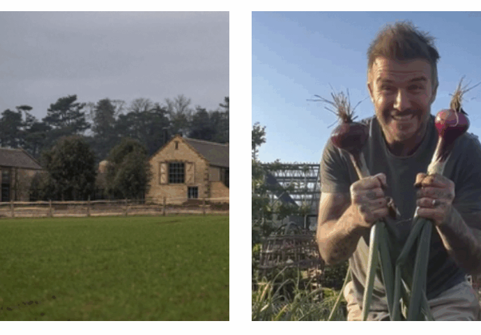 “Vogliono asfaltare un tratto di bosco per fare una strada che porti alla loro villa milionaria, non ha senso”: David e Victoria Beckham fanno infuriare i vicini