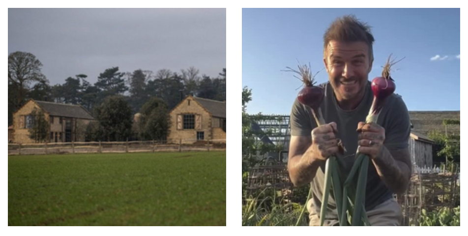 “Vogliono asfaltare un tratto di bosco per fare una strada che porti alla loro villa milionaria, non ha senso”: David e Victoria Beckham fanno infuriare i vicini