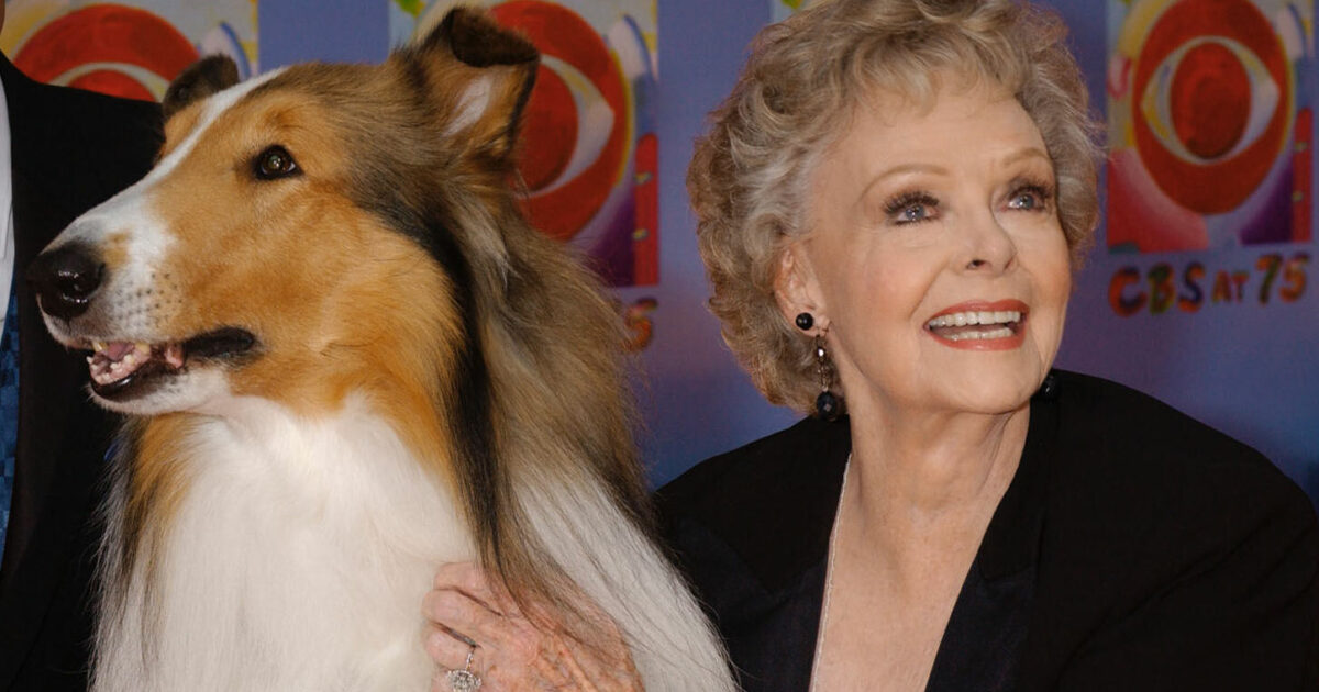 È morta June Lockhart: era Ruth Martin, la mamma di Timmy nella serie cult “Lassie” È morta June Lockhart: era Ruth Martin, la mamma di Timmy nella serie cult “Lassie”