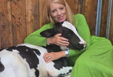 L’onorevole Brambilla compra la mucca in fuga dal macello, ma dell’animale non c’è traccia: la storia L’onorevole Brambilla compra la mucca in fuga dal macello, ma dell’animale non c’è traccia: la storia
