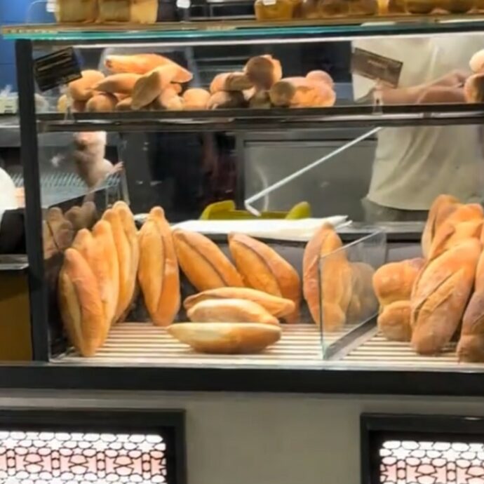 “C’è un topo nella vetrina del panettiere, sembra Remy di Ratatouille”: ratto scorrazza tra i panini, il video choc è virale