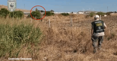 Copertina di Cacciano lungo la linea ferroviaria attiva, il video delle doppiette che scappano all’alt del Wwf nel Nisseno: “Grave pericolo”