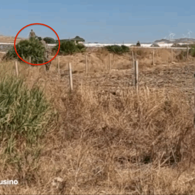 Copertina di Cacciano lungo la linea ferroviaria attiva, il video delle doppiette che scappano all’alt del Wwf nel Nisseno: “Grave pericolo”