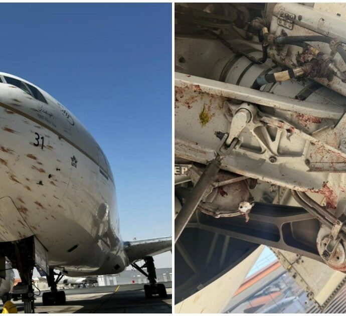 “Un bagno di sangue”: aereo si scontra con uno stormo di uccelli al decollo. Le immagini choc dei passeggeri: ali e finestrini coperti di sangue