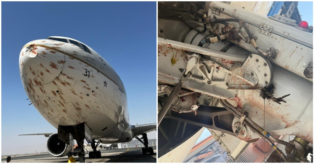 “Un bagno di sangue”: aereo si scontra con uno stormo di uccelli al decollo. Le immagini choc dei passeggeri: ali e finestrini coperti di sangue “Un bagno di sangue”: aereo si scontra con uno stormo di uccelli al decollo. Le immagini choc dei passeggeri: ali e finestrini coperti di sangue