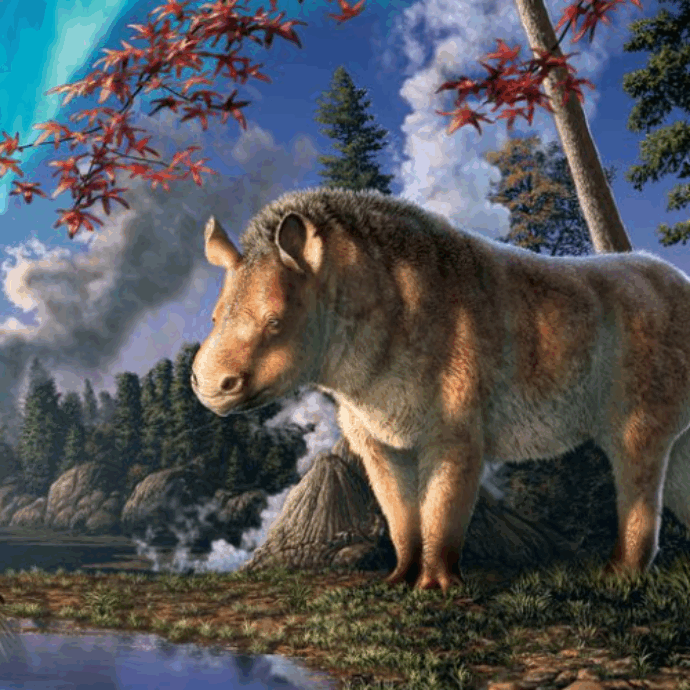 “Un rinoceronte nell’Artico? Le dissi: ‘È un animale molto strano, buona fortuna’”: l’incredibile scoperta di Mary Dawson