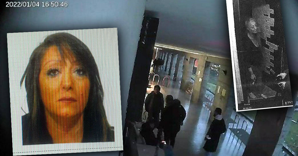 La Banda della Magliana di Milano e il piano manageriale della Super Mamacita: rider della coca, turni, rimborsi e indennità, tutto sul libro mastro