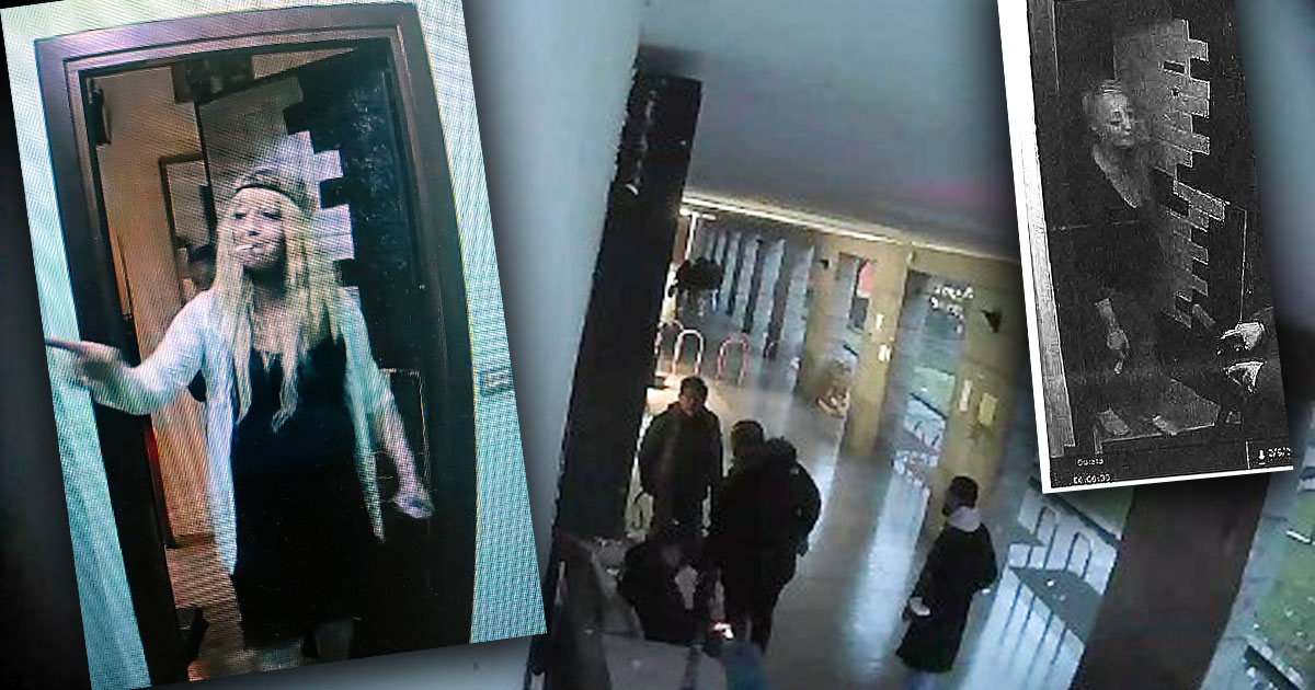 La Banda della Magliana di Milano e il piano manageriale della Super Mamacita: rider della coca, turni, rimborsi e indennità, tutto sul libro mastro