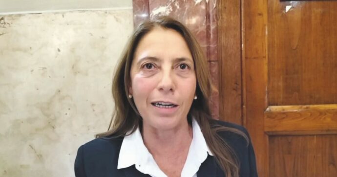 Ponte sullo stretto, l’avvocato del Wwf: “Se vanno avanti saranno fermati da Tar e Consulta”