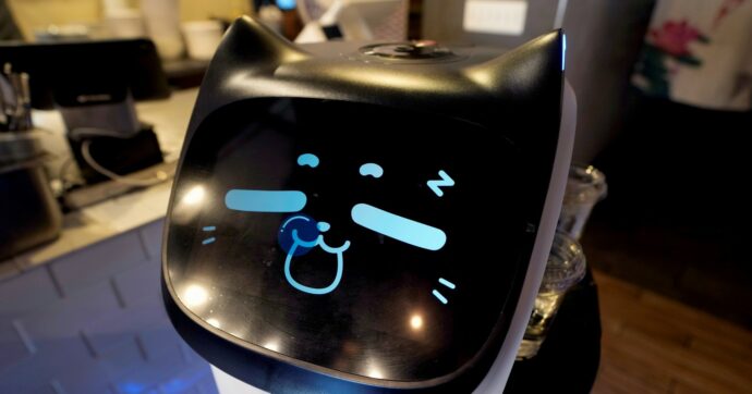 Treviso, la cena in hotel la serve il robot gratis: per l’umano si pagano 15 euro