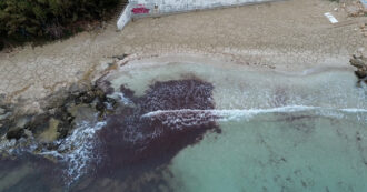 Copertina di Spiaggia ricoperta di cuori in Salento: il mistero dell’opera anonima comparsa nella notte – Video