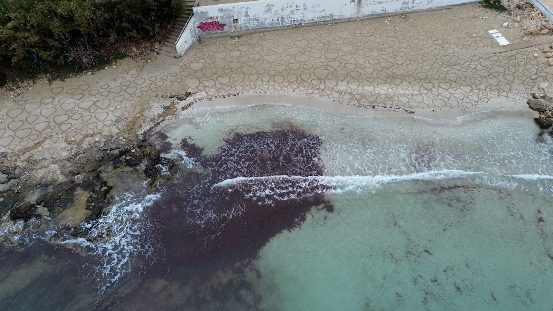 Spiaggia ricoperta di cuori in Salento: il mistero dell’opera anonima comparsa nella notte – Video Spiaggia ricoperta di cuori in Salento: il mistero dell’opera anonima comparsa nella notte – Video