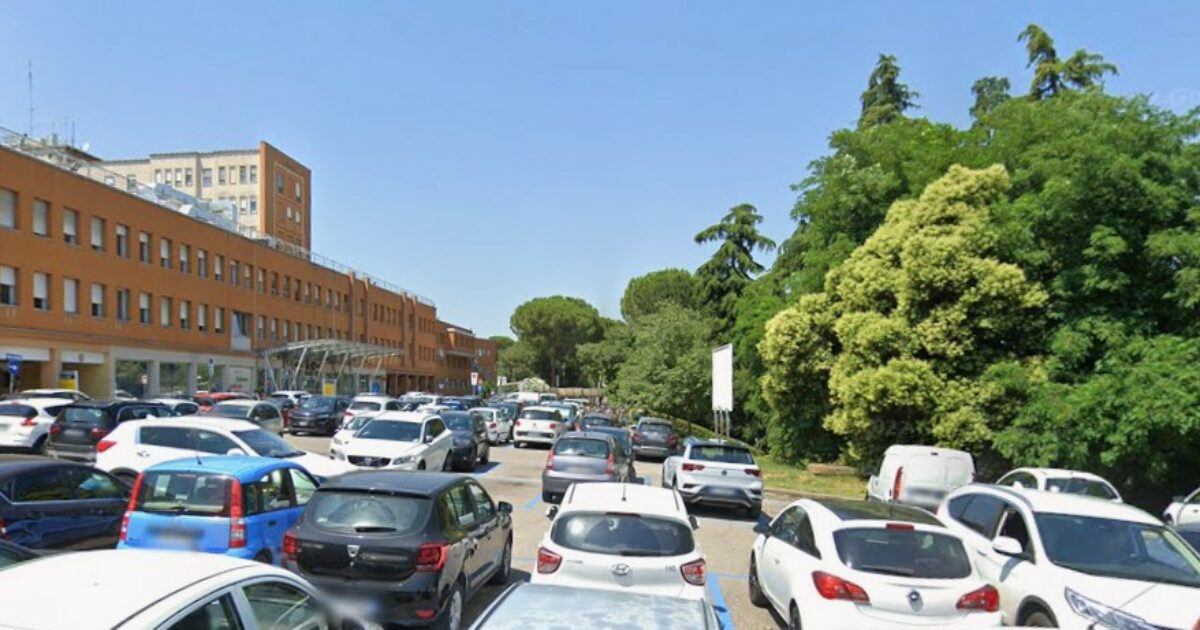 Cesena, donna partorisce in casa e abbandona il neonato vicino a un cassonetto Cesena, donna partorisce in casa e abbandona il neonato vicino a un cassonetto
