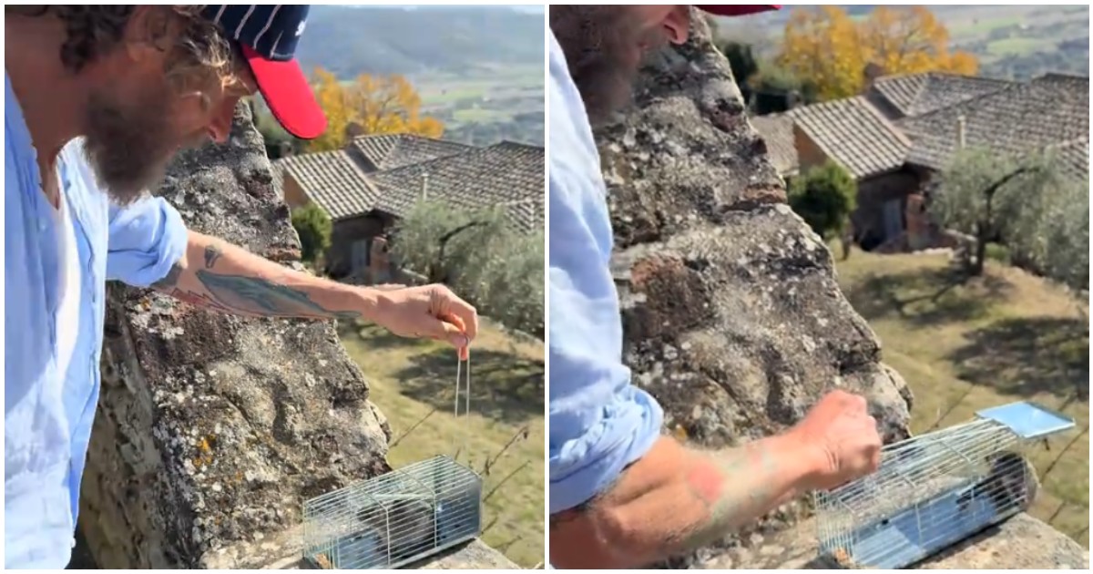 “Un altro ti avrebbe fatto secco e ti avrebbe messo il veleno”: la “ramanzina” di Jovanotti al topo che gli ha rosicchiato per mesi i cavi dello studio – VIDEO