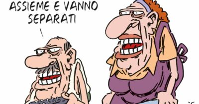 Copertina di La vignetta di Franzaroli