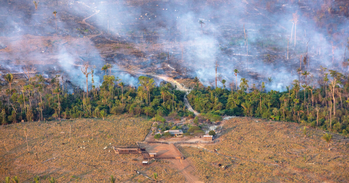 L’Amazzonia che ospita la Cop30 soffocata dai roghi appiccati per far spazio ai pascoli: a Porto Velho livelli di inquinamento superiori a Pechino