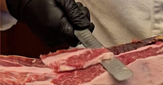 Copertina di L’affettatore di prosciutto a Disneyland Paris “spaventa” il cliente spagnolo che ironizza sui social – Video