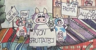 “Ritirate dalle scuole il Diario Amico”: il disegno di una bambina con le mucche in sciopero fa infuriare gli allevatori