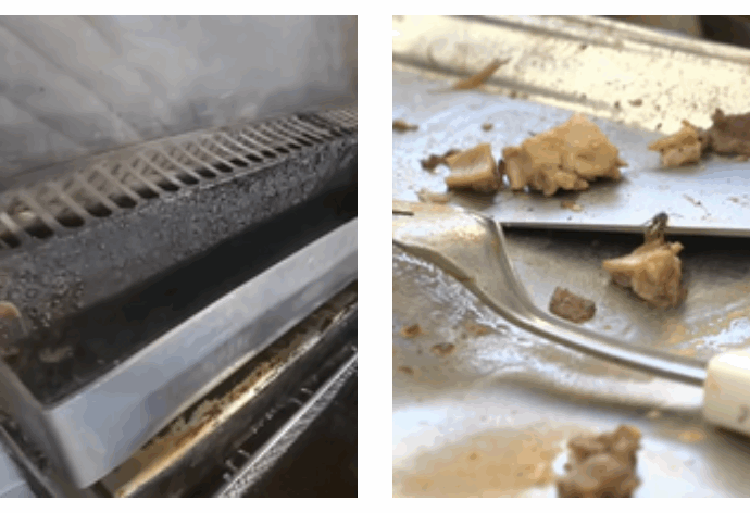 Escrementi di piccione, ratti, uova senza timbro, alimenti scaduti: chioschi alimentari sotto inchiesta a Roma, e c’è anche quello convenzionato Rai