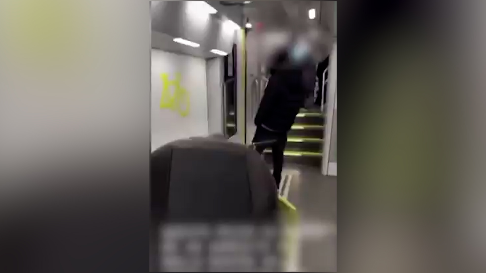 Monza, modella denuncia aggressione sul treno e posta un video sui social: denunciato 26enne Monza, modella denuncia aggressione sul treno e posta un video sui social: denunciato 26enne