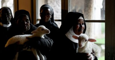 Copertina di ‘’Agnus Dei’’, il doc di Massimiliano Camaiti: meglio gli agnellini che gli attori-capra