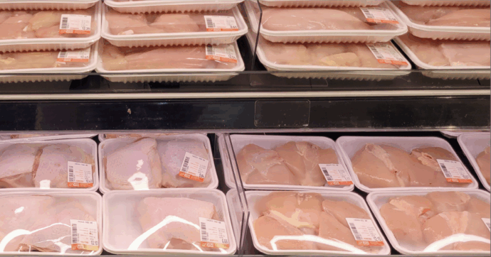 “Strisce bianche su più del 90% del pollo con i marchi Esselunga, Coop e Conad”. White striping, nuova indagine di Essere Animali dopo quella su Lidl