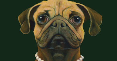 Copertina di Amano più le donne degli uomini, conoscono 200 parole, niente corsa di fianco alla bici o in borsa: “Parola di cane”, un libro di consigli e stimoli per un rapporto “bidirezionale” tra uomo e cani