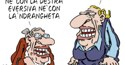 Copertina di La vignetta di Franzaroli