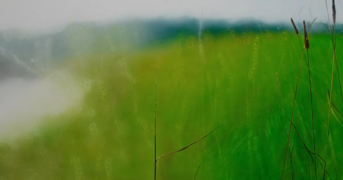 alla galleria rubin di milano l8217esordio italiano di evgenia buravleva pittrice russa tra luce e paesaggi