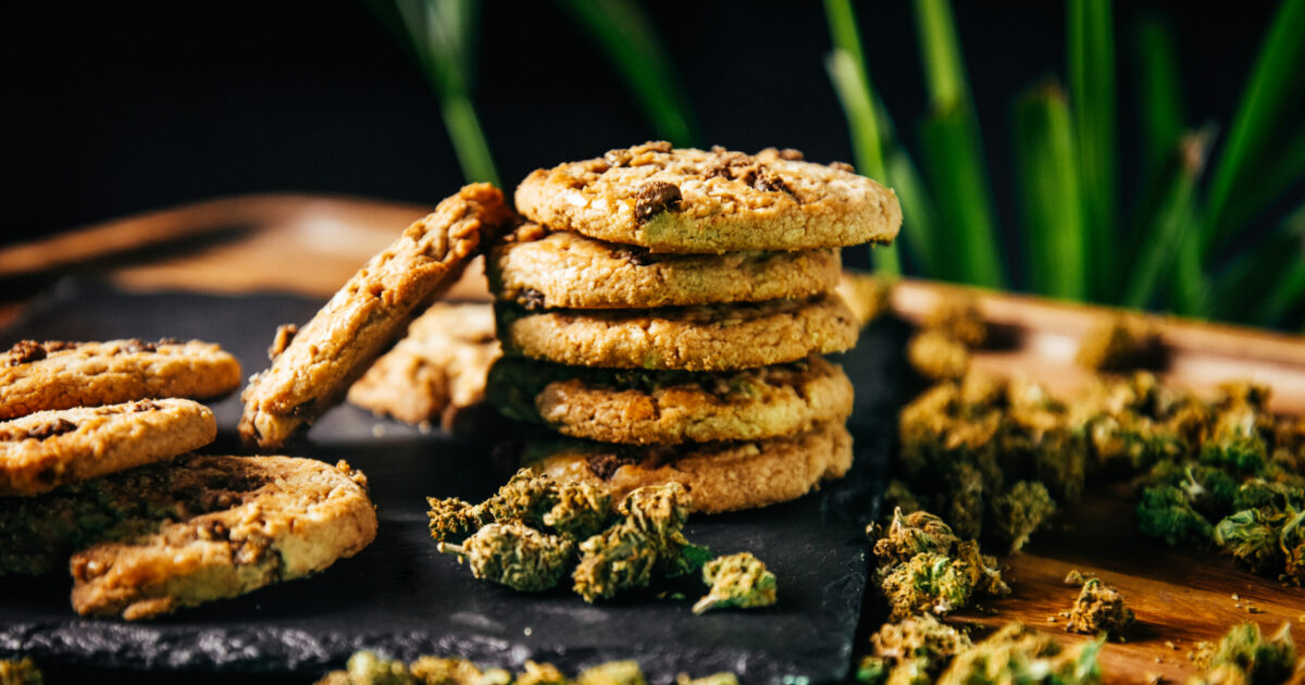 bimbo di 4 anni perde i sensi dopo aver mangiato un biscotto era alla cannabis arrestato lo zio in casa aveva una serra di marijuana da Ilfattoquotidiano.it bimbo di 4 anni perde i sensi dopo aver mangiato un biscotto era alla cannabis arrestato lo zio in casa aveva una serra di marijuana