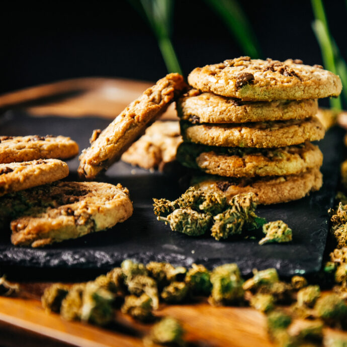 Bimbo di 4 anni perde i sensi dopo aver mangiato un biscotto: era alla cannabis. Arrestato lo zio, in casa aveva una serra di marijuana