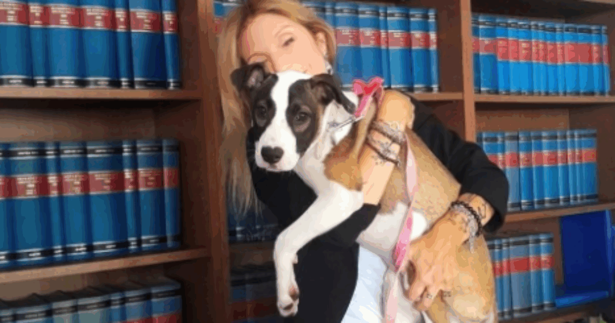 “Il veterinario ha detto testualmente alla proprietaria ‘ho ucciso il tuo cane. È andata male. Nove volte su dieci l’intervento riesce’. Ora la causa è aperta”: parla Giada Bernardi di GiustiziAnimale