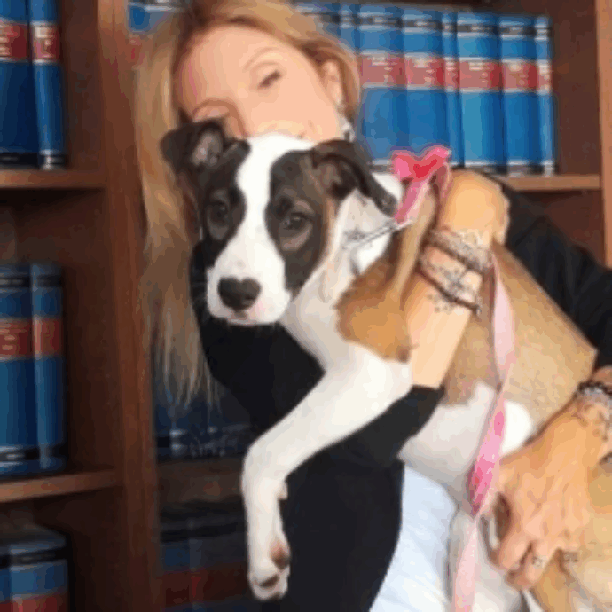 “Il veterinario ha detto testualmente alla proprietaria ‘ho ucciso il tuo cane. È andata male. Nove volte su dieci l’intervento riesce’. Ora la causa è aperta”: parla Giada Bernardi di GiustiziAnimale