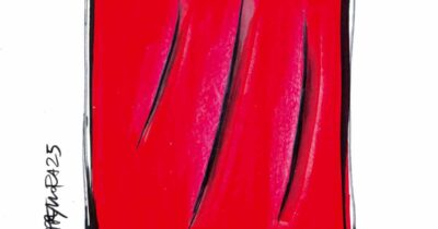 Copertina di La vignetta di Beppe Mora